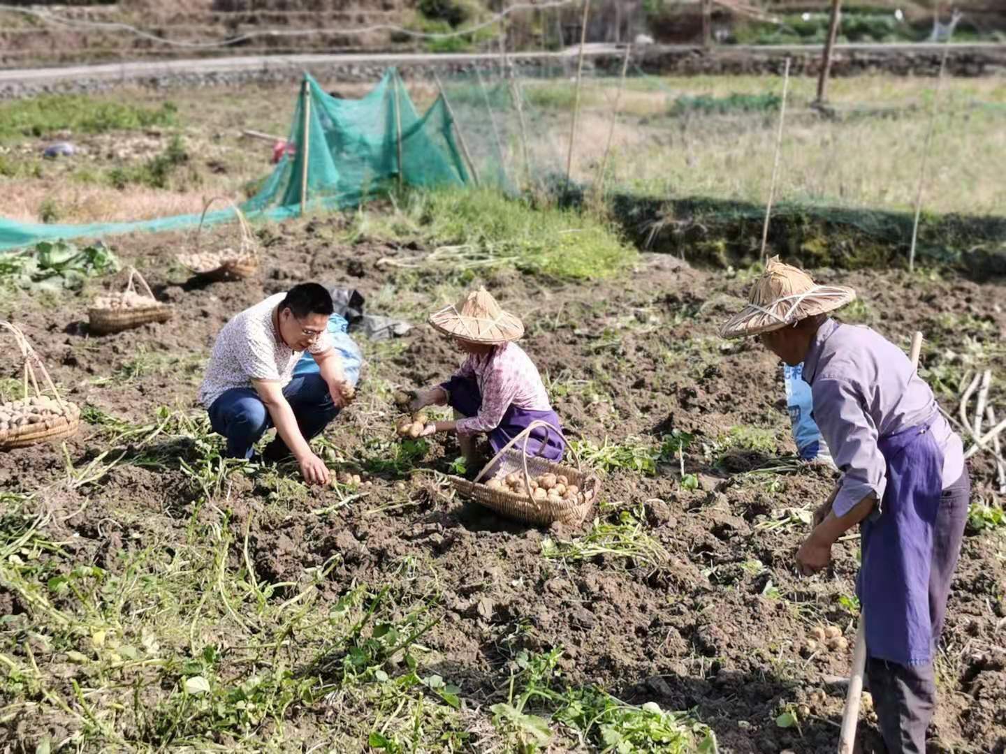 和村民一起劳动.jpg