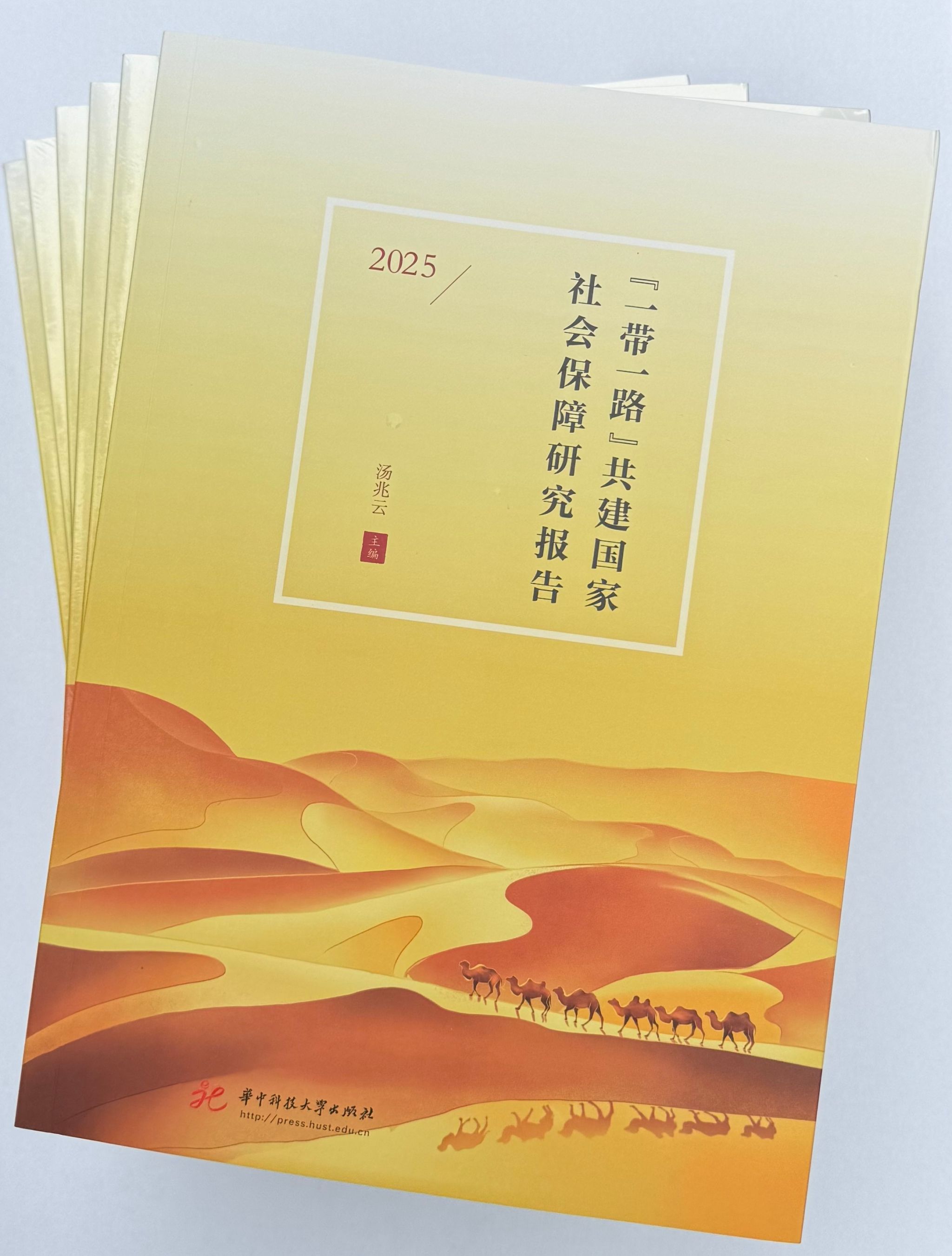 一带一路2025.jpg